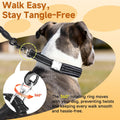 Mayerzon Prong Collar for Dogs, Pinch Collar with Alloy Buckle | Black, L