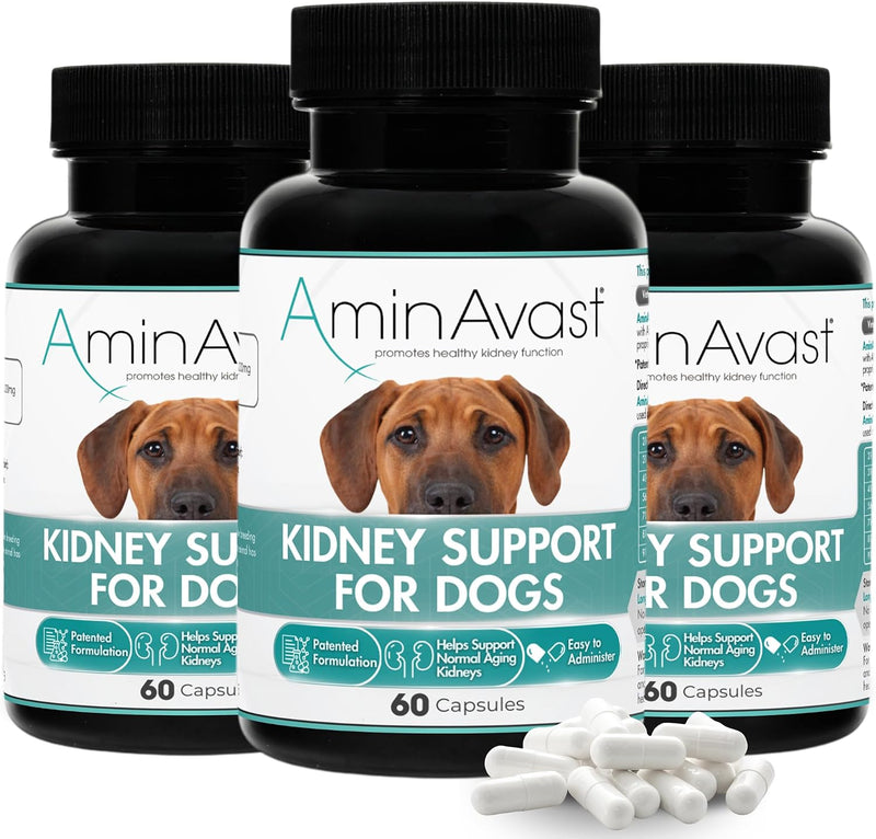 AminAvast 1000 mg Kidney Support for Dogs, 3 Bottles, 180 Sprinkle Capsules