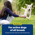 PetSafe Busy Buddy Dog Treat Rings Variety Pack, Medium, Size B, 24 Count