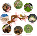 kathson 2 PCS Reptile Corner Branch, Lizard Climb Branches Decor Terrarium Plant Decoration with Suction Cup Reptile Tan