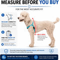 ShawnCo Dream Walk Pro No-Pull Dog Harness