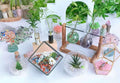 LAIDANLA Rose Quartz Crushed Stone Crystal Chips Bulk Natural Gemstones Healing Reiki Crystals Mini Quartz Vase Filler A
