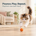 Rawry Foam Ball Cat Toy for Indoor Cats & Kittens,12 Pack, Orange