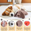 BEVERLYSHARK Beverly Shark Puppy Heartbeat Toy Dog Anxiety Relief Calming Aid Puppy Heartbeat Stuffed Animal Behavioral Training Sleep Aid Comfort Soother Plush Toy for Puppies Cats