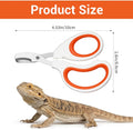 Bearded Dragon Nail Clippers, Stainless Steel Pet Nail Clippers, Reptile Nail Clippers Grooming Tool for Bearded Dragons