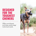 KONG Extreme Dog Toy, Durable Natural Rubber Chew, for X-Large Dogs