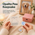 Pet Loss Sympathy Gift, Opalite Paw with Rainbow Bridge Card, in Loving Memory Keepsake, Pet Bereavement Comfort Gift, P
