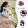 Saintrygo 20 Pieces Dog Collar Flowers Multi Color Pet Bow Ties Flower Collars for Dogs Grooming Cat Puppy Accessories