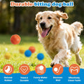 HORHIZA 3 Pack Dog Balls, Bite Resistant Elastic Balls for Dogs, Durable Rubber,Interactive Training Ball Dog Toy for 20-60 lbs,2.5-inch Diameter