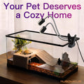 Reptile Heat Lamp Kit | Automatic Daily On-Off Cycle