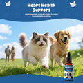 Taurine Supplement for Dogs & Cats, Heart, Muscle & Metabolic Support Drops
