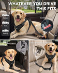 Joytale 3-in-1 Bungee Dog Seat Belt for Car, Medium and Large Dogs