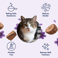 Arm & Hammer Cat Odor Control Spray, Violet Cedarwood, 8 Fl Oz