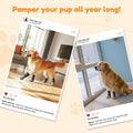 PICK FOR LIFE Non Slip Dog Socks with Grippers Prevent from Licking Paws,Anti-Slip Dogs Grip Socks for Senior Dogs on Ha