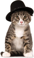 Rubies Top Hat Pet Hat for Dogs or Cats, M/L