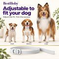 Flea and Tick Collar for Dogs 4 Packs,Dog Collars with Natural Essential Oils,Waterproof, Adjustable for Small Medium La
