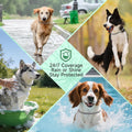4 Pack Flea Collar for Dogs, 32 Months Flea and Tick Prevention for Dogs