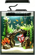 Glass Betta Aquarium Starter Kits 1.5 Gallon Small Fish Tank, Betta Fish Tank with LED Light, Power Filter, Black. 4mm G