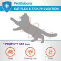 Topical Flea and Tick for Cats & Kittens: Waterproof Topical Cat Flea and Tick – Fast-Acting & Long - Lasting at Home Co