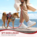 Service Dog Vest Harness and Leash Set, Animire in Training Dog Harness with 10 Dog Patches, Reflective Dog Leash with Soft Padded Handle for Small, Medium, Large, and Extra-Large Dogs (RED,S)