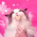 Bonkers Purrpops, Freeze Dried Tuna Flavored Lollipop Cat Treats, 15 Packs of 3 (45 Treats)