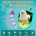 Woyamay Flea and Tick Prevention for Dogs, Flea & Tick + Itch Relief Chews