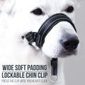 GoodBoy Dog Head Halter with Safety Strap - Stops Heavy Pulling On The Leash - Padded Headcollar for Small Medium and La