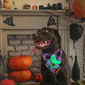 ADOGGYGO Halloween Dog Bandanas, Glow in Dark Plaid Dog Scarf, X-Large