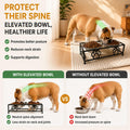 Raised Dog Bowls for Small Dogs, Elevated Bowl Stand Stainless Steel Dishes