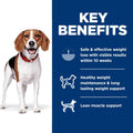 Hill's Science Diet Adult Perfect Weight Small Bites Dry Dog Food