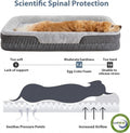 XL Large Orthopedic Dog Bed for Senior Dog to Comfy Sleep
