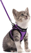 rabbitgoo Cat Harness and Leash, Step-in Escape Proof Kitten Harness Set, Soft Comfortable Cat Vest, Easy to Wear and Adjust, Reflective for Safe Outdoor Walking, Purple, Small