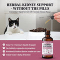Special Breed Kidney Support for Cats - Rehmannia & Astragalus Liquid, 2 oz