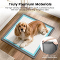 Dog Pee Pad Holder Tray, Fits for 22"x22", with Drain Ridges & Raised Edge