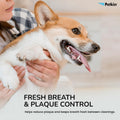 Petkin Cat and Dog Dental Wipes, 80 Wipes (Fresh Mint) - Natural Formula Cleans Teeth, Gums & Freshens Breath - for Dail