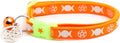 Large(10lbs & Up)/Orange