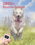No Shock Dog Training Collar, Beep and Vibrating Dog Collar with Remote 2800Ft, Vibration Collar for Small Medium Large 