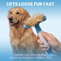 POODLIE Poodle Pet Dog Grooming Rake | Dematting Tool with Stainless Steel Shedding Comb for Pets | 2 Rows of Pins Gentl