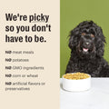 The Honest Kitchen Essential Clusters Whole Grain Beef & Chicken Recipe, Vet-Recommended Human Grade Dry Dog Food for Ad