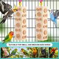 Bird Foraging Toy Parakeet Toys for Budgie, Conure, Cockatiel, Lovebird, and Small to Medium Parrots, 2 Pack Hanging Par