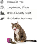 Shizhoo Catnip for Cats with Leaves and Flower Seeds 100% Natural and Organic Catnip Premium Cat Nip for Cats & Kittens Used as a Snack or Refillable Catnip Treats for Cats (1/2 Cup)