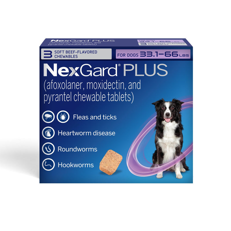 NexGard Plus (afoxolaner, moxidectin, and pyrantel) Flea and Tick Protection & Heartworm Preventive for Dogs Soft Beef Flavored Chewables, 33.1-66 lbs. (Purple) 3 Chews (3 Month Supply)