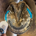 B Gone White Line Treatment - Official Store, for Equestrians, Horses with Whiteline Disease, Seedy Toe, Horse Care, Whi