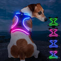Light Up Dog Harness, LED Rechargeable Safety Dog Harness for Night Walking