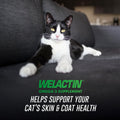 Nutramax Welactin Omega 3 Fish Oil for Cats, Skin and Coat Health Supplement, Plus Kidney, Brain, and Vision Support, Premium Omega 3 Fatty Acids EPA and DHA, 4 Ounce Liquid