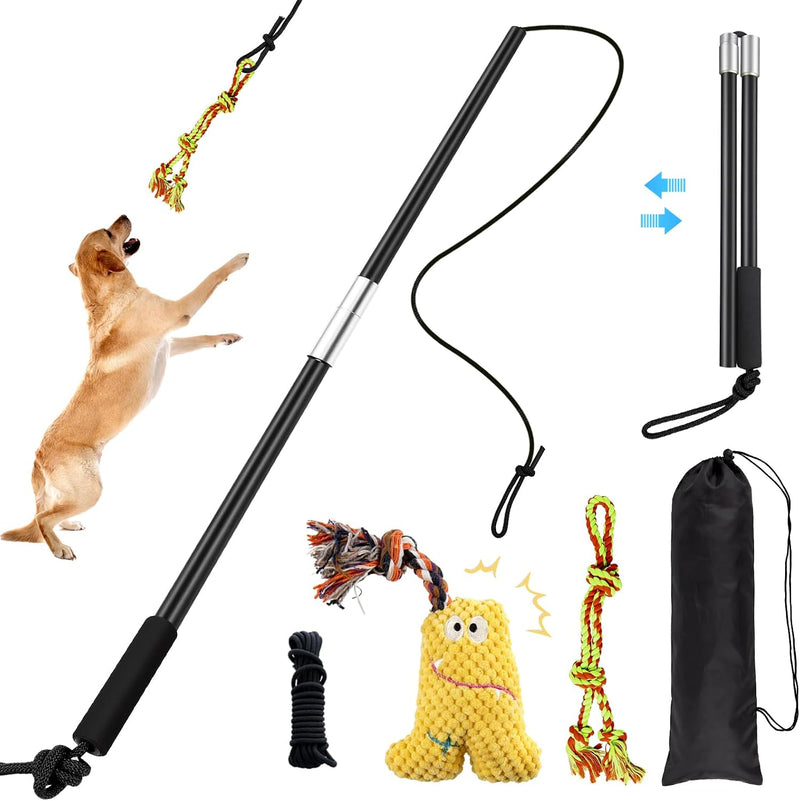 Flirt Pole for Dogs with Squeaker & Rope – Includes XL Carry Bag