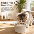 Ceramic Elevated Slow Feeder Cat Bowl,Anti Vomiting & Choking Cat Slow Feeder,Raised Heart Shaped Cute Cat Bowl Slow Fee