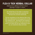 Earth Animal Apothecary Flea & Tick - 1 Herbal Collar for Cats & Kittens