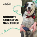 LUCKY TAIL Pet Nail Grinder for Dogs and Cats - Super Quiet and Low Vibration Electric Dog Nail Grinder with 2 LED Lights - USB Rechargeable and Cordless - 2 Speeds - Small to Large Pets - Dark Blue