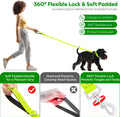 5Ft LED Dog Leash, Light Up Dog Leash USB Rechargeable Waterproof, Nylon Reflective Leashes with Padded Handle for Dogs 